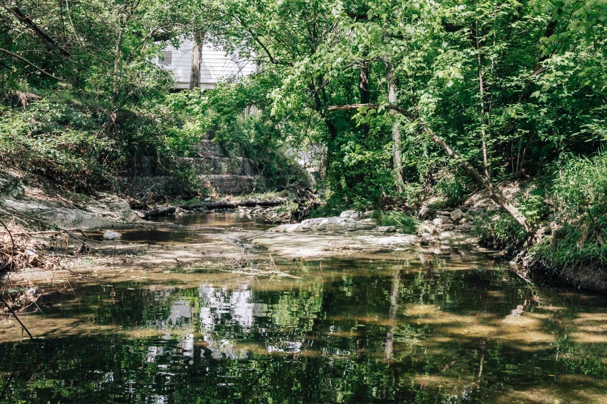 Group Retreat At Charming Twin Treehouses Near Ut Campus Austin Exterior foto