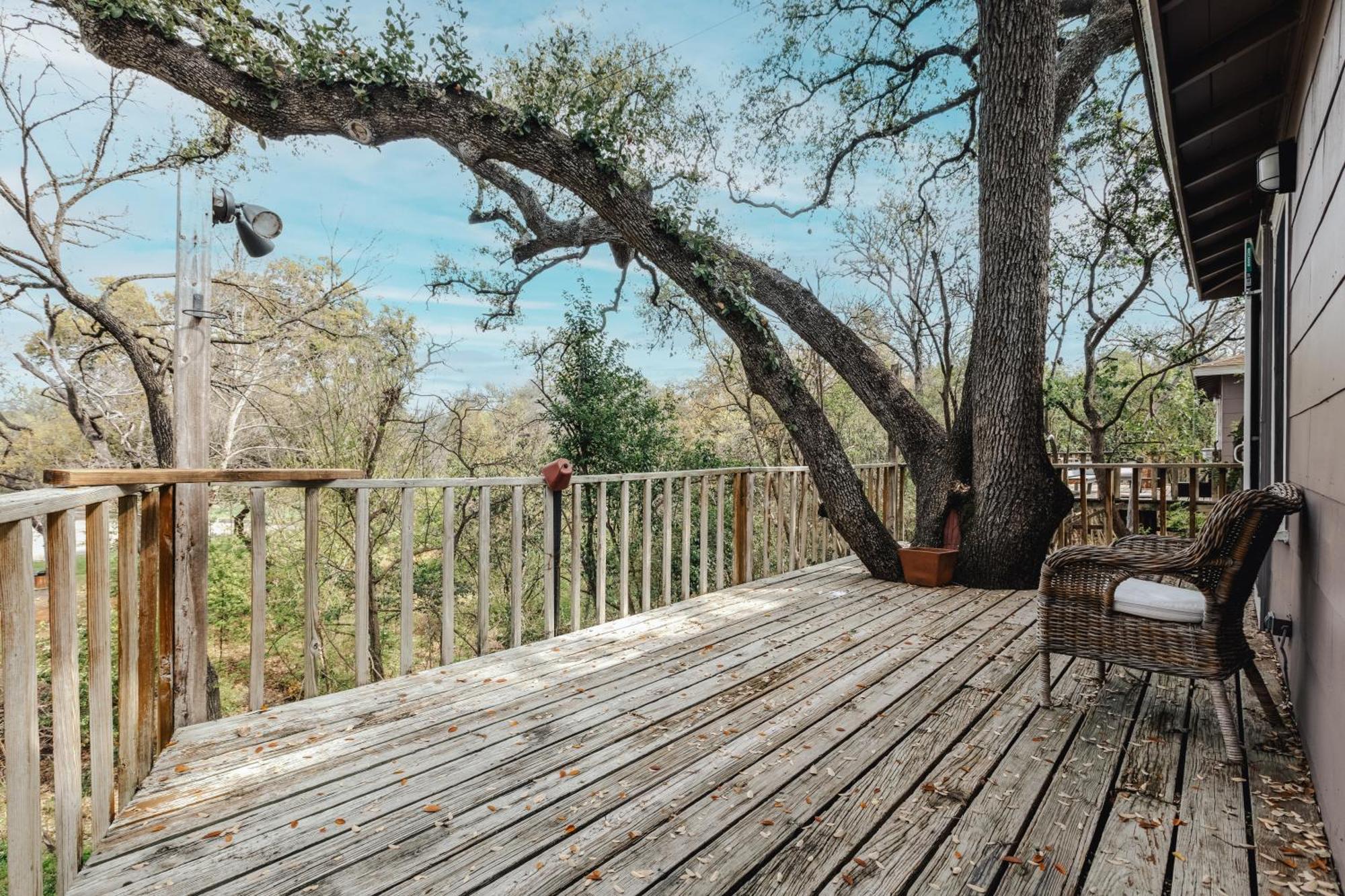 Group Retreat At Charming Twin Treehouses Near Ut Campus Austin Exterior foto